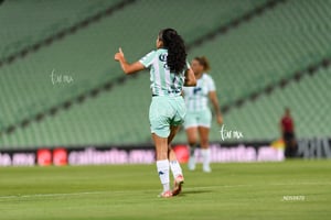 Santos vs Tigres femenil J7
