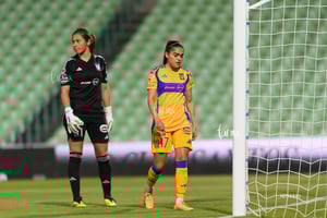 Santos vs Tigres femenil J7
