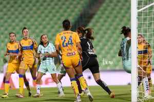 Santos vs Tigres femenil J7