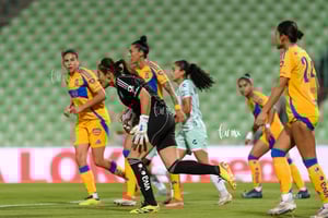 Santos vs Tigres femenil J7
