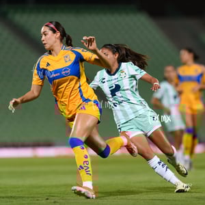 Santos vs Tigres femenil J7