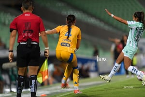Santos vs Tigres femenil J7