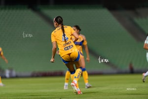 Santos vs Tigres femenil J7