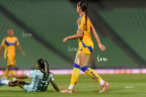 Santos vs Tigres femenil J7