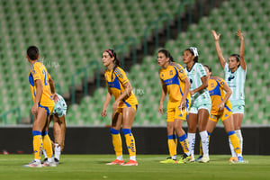 Santos vs Tigres femenil J7