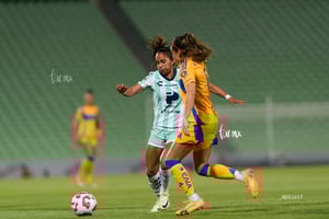 Santos vs Tigres femenil J7