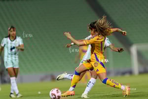 Santos vs Tigres femenil J7