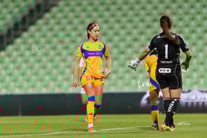 Santos vs Tigres femenil J7