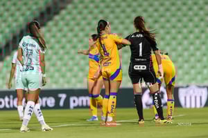 Santos vs Tigres femenil J7