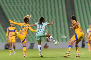 Santos vs Tigres femenil J7