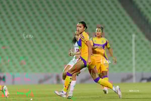 Santos vs Tigres femenil J7