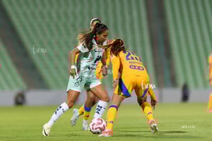 Santos vs Tigres femenil J7