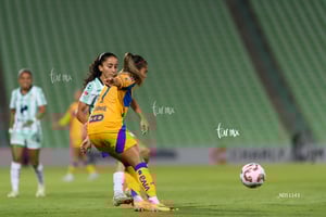 Santos vs Tigres femenil J7
