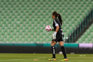 Santos vs Tigres femenil J7