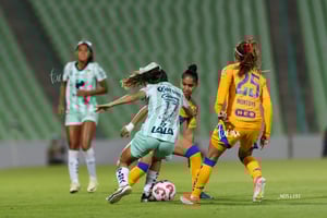 Santos vs Tigres femenil J7