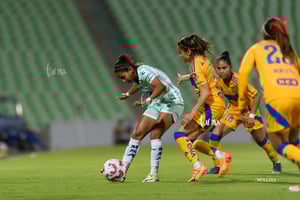 Santos vs Tigres femenil J7