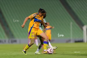 Santos vs Tigres femenil J7