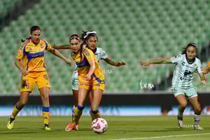 Santos vs Tigres femenil J7