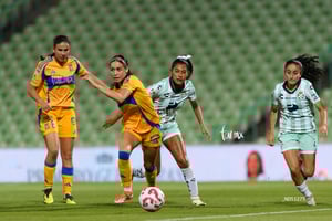 Santos vs Tigres femenil J7