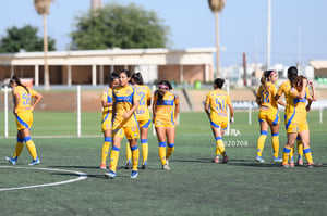 Santos vs Tigres femenil sub 19