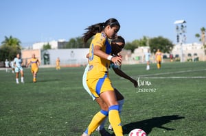 Santos vs Tigres femenil sub 19