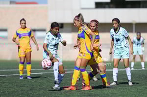 Santos vs Tigres femenil sub 19