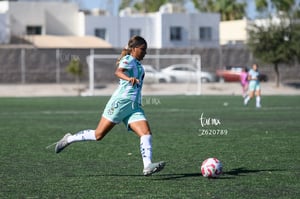 Santos vs Tigres femenil sub 19