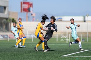 Santos vs Tigres femenil sub 19