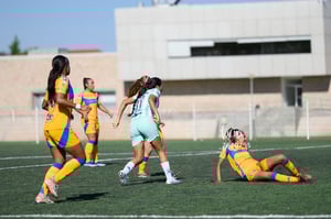 Santos vs Tigres femenil sub 19