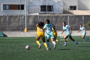 Santos vs Tigres femenil sub 19