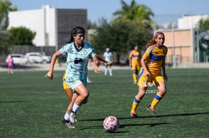 Santos vs Tigres femenil sub 19