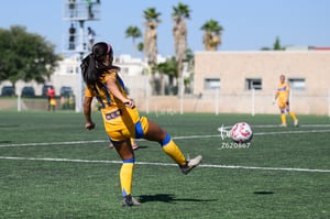 Santos vs Tigres femenil sub 19