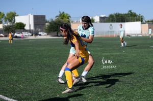 Santos vs Tigres femenil sub 19