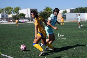 Santos vs Tigres femenil sub 19
