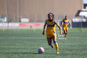 Santos vs Tigres femenil sub 19