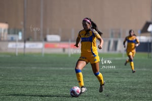 Santos vs Tigres femenil sub 19