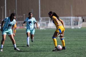 Santos vs Tigres femenil sub 19