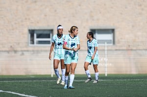 Santos vs Tigres femenil sub 19