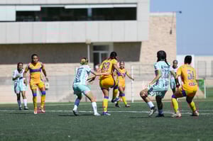 Santos vs Tigres femenil sub 19