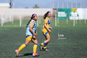 Santos vs Tigres femenil sub 19
