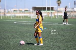 Santos vs Tigres femenil sub 19