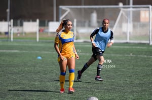 Santos vs Tigres femenil sub 19
