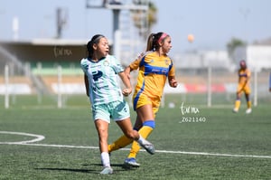 Santos vs Tigres femenil sub 19