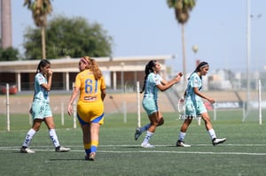 Santos vs Tigres femenil sub 19