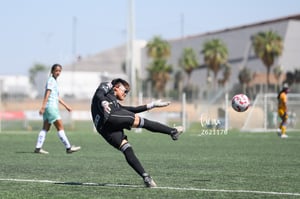 Santos vs Tigres femenil sub 19