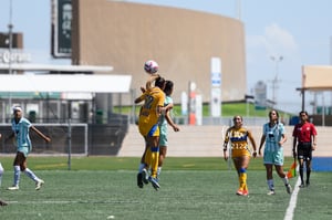 Santos vs Tigres femenil sub 19