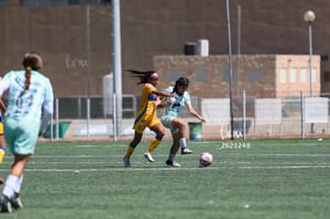 Santos vs Tigres femenil sub 19