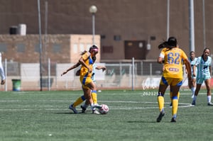Santos vs Tigres femenil sub 19
