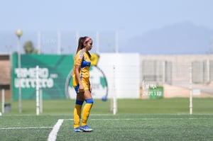Santos vs Tigres femenil sub 19