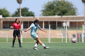 Santos vs Tigres femenil sub 19